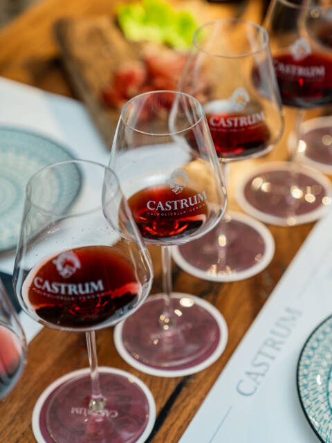 Degustazione serale: Viaggio Lungo Classico