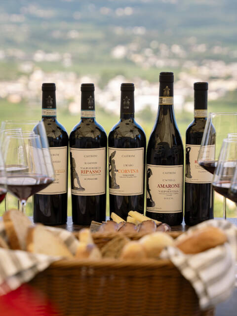 Degustazione diurna Light Lunch: 5 Vini Castrum + primo piatto (minimo 10 persone)