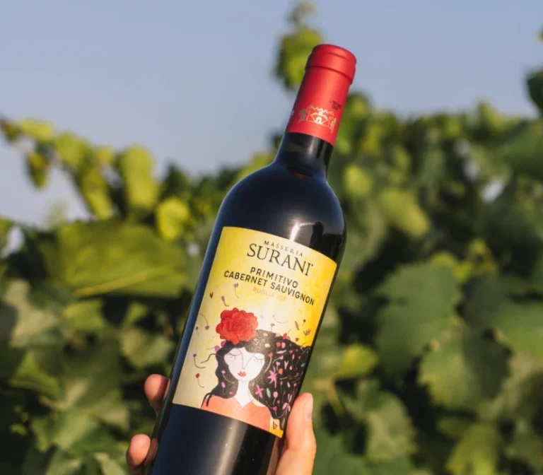 Bottiglia di Primitivo e Cabernet Sauvignon Surani tra i vigneti