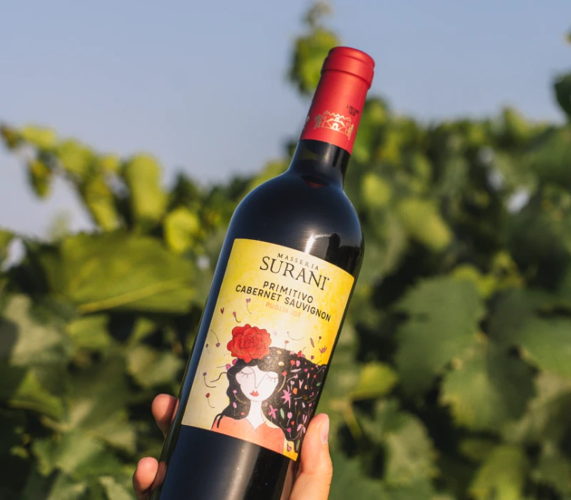 Bottiglia di Primitivo e Cabernet Sauvignon Surani tra i vigneti