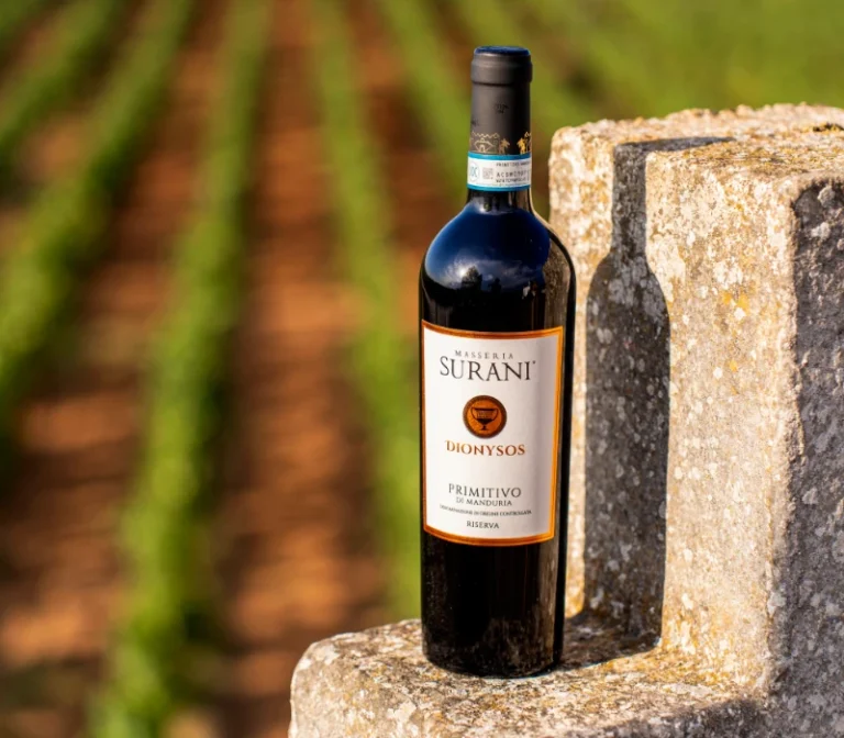 Bottiglia Dionysos Primitivo di Manduria Riserva Surani tra i vigneti